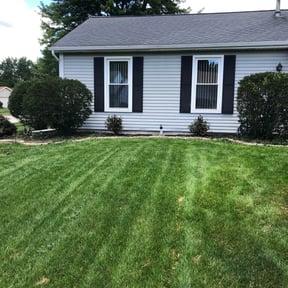 Bush Trimming by J Jr’s Lawn Maintenance reviewed on August 18, 2025