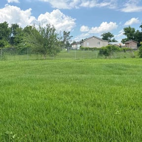 landscaping services by Early Risers Lawncare Service. reviewed on November 21, 2025