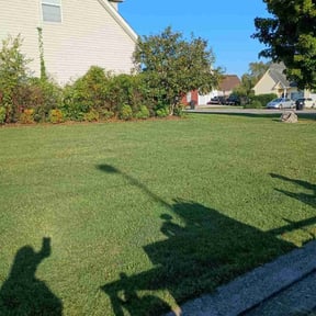 grass maintenance by Robinson lawn care reviewed on August 9, 2023