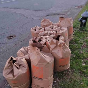 Leaf Removal by EL Concrete Construction LLC reviewed on November 9, 2025