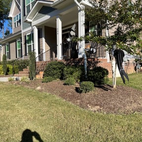 Bush Trimming by Lowcountry Landscape and Design LLC reviewed on August 17, 2025