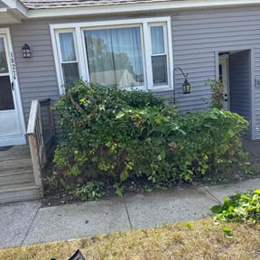 Bush Trimming by Rodd's Lawn Care and Landscape, LLC reviewed on November 24, 2025