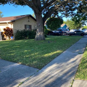turf maintenance by Bandala's Landscaping and Gardening Service reviewed on March 14, 2024