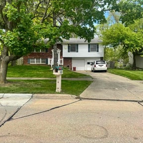 yard service by Carson's lawn care services reviewed on August 15, 2025