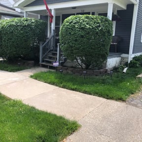 Bush Trimming by MCC Property Preservationr reviewed on August 14, 2025