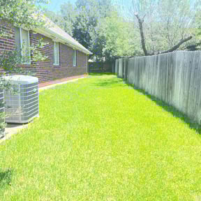 yard care by Lawnservice&maintenance LLC reviewed on August 16, 2025