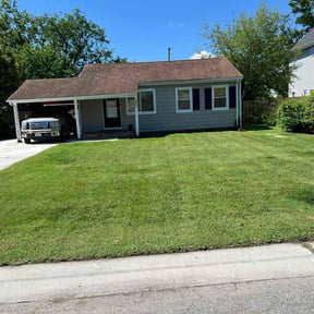 yard maintenance by Strike Force (Robert Stewart) reviewed on August 20, 2025