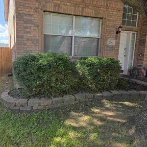 Bush Trimming by Blue Landscape and Construction reviewed on October 22, 2025