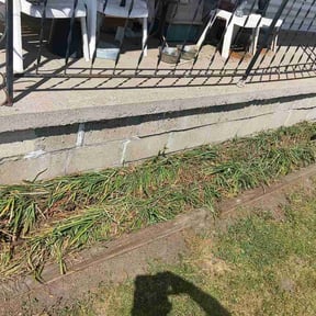 Flower Bed Weeding by IMPAKT Lawn Solutions reviewed on March 27, 2026