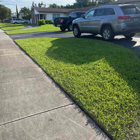 landscaping by JMN Lawn reviewed on August 17, 2025