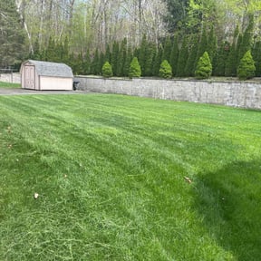 yard work by Terrapin Spaces reviewed on August 20, 2025