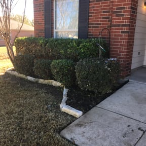 Bush Trimming by Carters Lawn Care Services reviewed on August 18, 2025