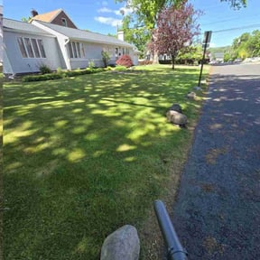 landscaping services by Diligence reviewed on August 17, 2025