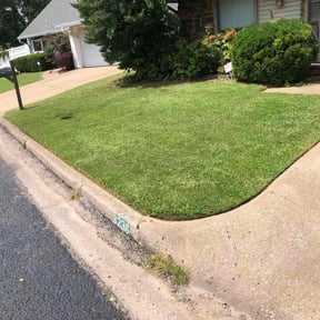 residential landscaping by Quality cuts reviewed on August 20, 2025