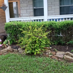 Leaf Removal by KJ &amp; Co reviewed on September 30, 2025