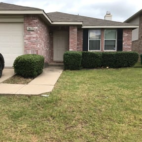 Bush Trimming by Grass Busters reviewed on August 17, 2025