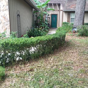 Bush Trimming by Pro Landscape reviewed on August 21, 2025