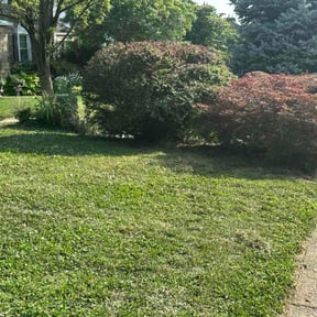 Bush Trimming by Mow Zen reviewed on July 8, 2026