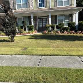 Bush Trimming by Multi Purpose Lawncare reviewed on August 17, 2025