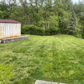 grass maintenance by Armstrong's Lawn Care Plus reviewed on April 15, 2024