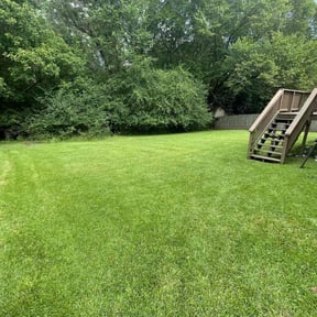 residential landscaping by Dutch Fork Lawn Care reviewed on August 29, 2024