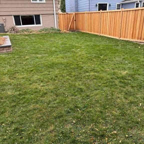 Leaf Removal by PizzaCuts reviewed on November 21, 2025