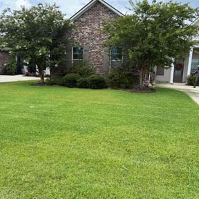 yard care by Tsafaridis Landscaping Construction reviewed on August 21, 2025