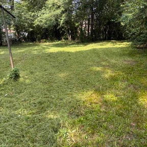 Flower Bed Weeding by Fox Will Fix It reviewed on August 2, 2026