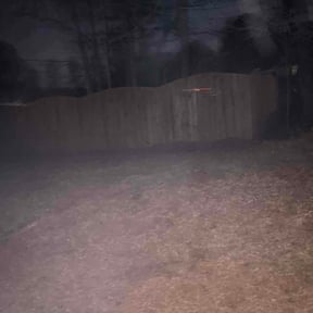 Leaf Removal by H AND H FAMILY LAWN CARE reviewed on February 18, 2026