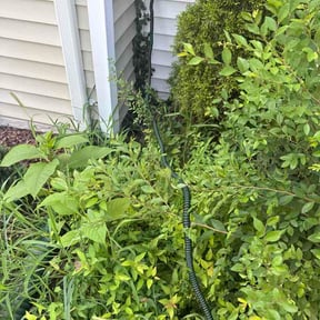 Flower Bed Weeding by Tjs landscaping llc reviewed on August 15, 2026