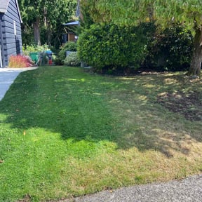 lawn care by DTE Maintenance Llc reviewed on August 22, 2023