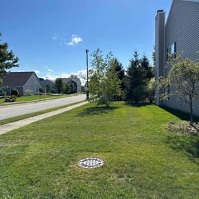 lawn care by Blessed Lawn Care Services & Odd Jobs reviewed on March 6, 2024