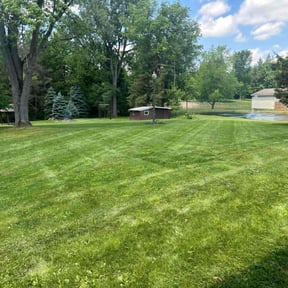 yard care by Rjm reviewed on August 15, 2025