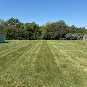 yard maintenance by Babcock Enterprises LLC reviewed on August 15, 2025