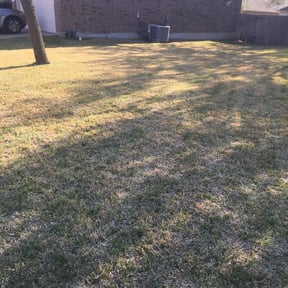 Leaf Removal by MHS lawn care reviewed on August 20, 2025