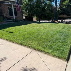 landscaping by David W Services LLC reviewed on November 26, 2025