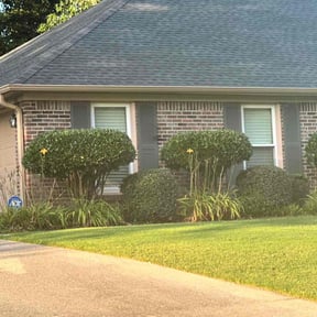 Bush Trimming by Livingoak landscaping and lawn care reviewed on August 16, 2025