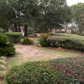 Bush Trimming by Johnny's lawn reviewed on August 21, 2025