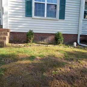 Bush Trimming by Robert Carreras Lawn Care reviewed on August 18, 2025