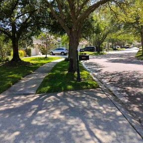 yard care by K & D Lawn Services reviewed on August 19, 2025