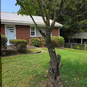 Bush Trimming by Roy Reddick reviewed on November 19, 2025