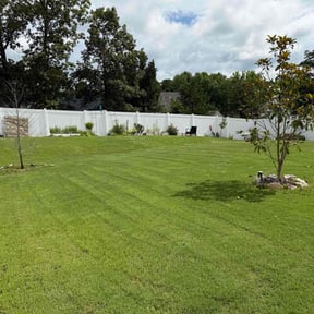 landscaping by Landscaping Gomez reviewed on August 20, 2025