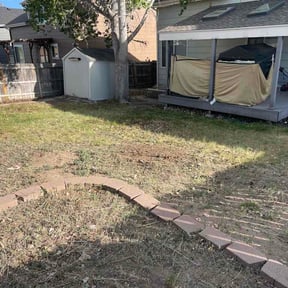 Leaf Removal by Lokey lawn care reviewed on June 24, 2026