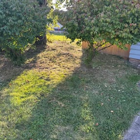 Flower Bed Weeding by Gutter Brothaz reviewed on October 22, 2025