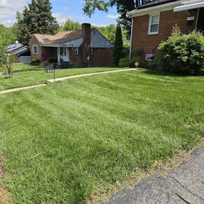 residential landscaping by Caesar’s Premier Landscaping reviewed on August 15, 2025