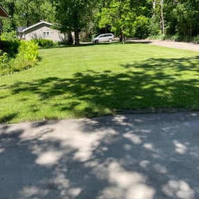residential landscaping by SP Landscaping reviewed on August 20, 2025