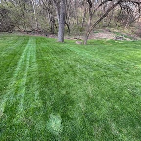 turf maintenance by BG landscaping reviewed on July 13, 2025