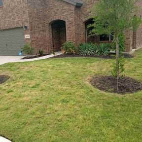 Flower Bed Weeding by Yanez Brothers Landscaping reviewed on August 20, 2025