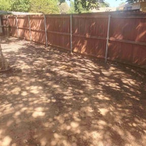 Leaf Removal by Johnnys  lawns service reviewed on September 27, 2025