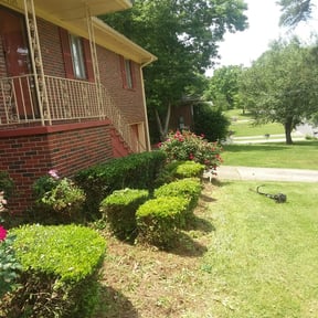 Bush Trimming by Caroscio & sons landscaping reviewed on August 19, 2025